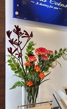 テスト登録　コイン　モダン　1968